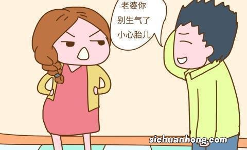 怀孕生气吃什么能顺气