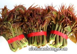 香椿可以放冰箱多久