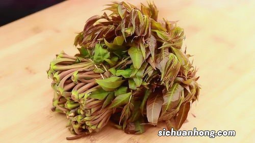 香椿可以放冰箱多久