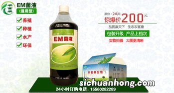 甜酒糟发酵多久才好