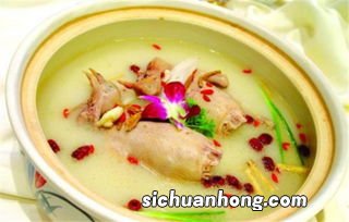 怀孕鸽子汤炖什么好吃