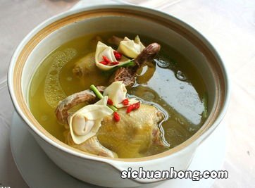 怀孕鸽子汤炖什么好吃