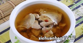 怀孕鸽子汤炖什么好吃