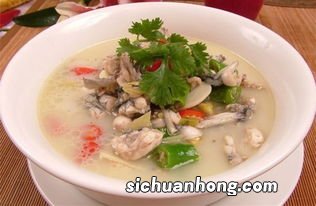 怀孕初期喝点什么汤水