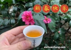 春芽茶别名叫什么茶