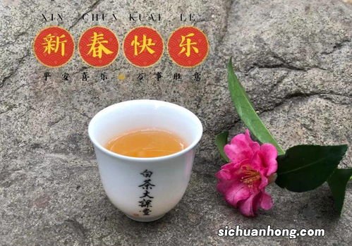 春芽茶别名叫什么茶