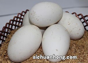 鹅蛋怎么做营养
