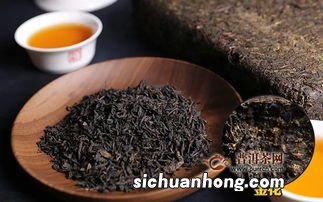 一品茯茶什么季节饮