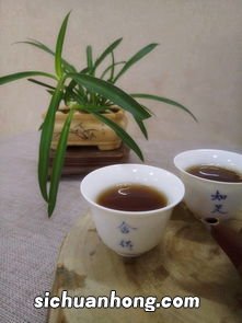 天心肉桂是什么茶