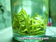 有机绿茶什么时候喝