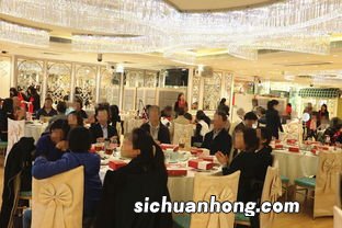 茶会活动是做什么