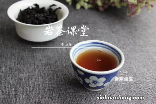 焙茶 是属于什么茶