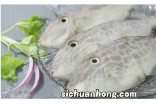 花扒皮狼子什么鱼.