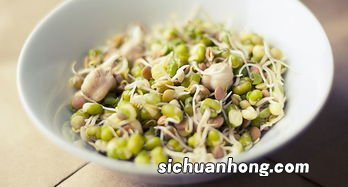 豆芽菜怎么做好吃步骤