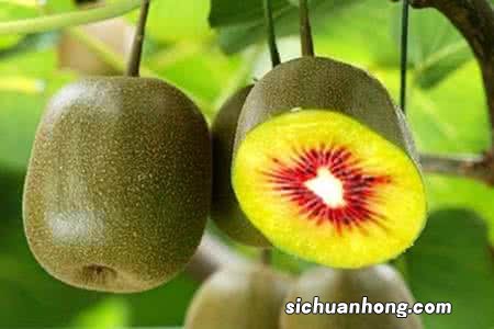 红心猕猴桃有什么功效