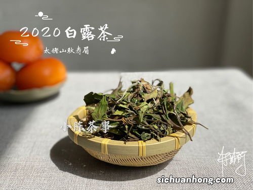 秋香茶是什么颜色