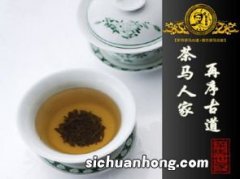 泡普洱茶什么水