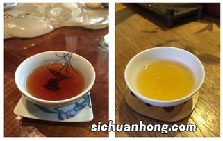 泡普洱茶什么水