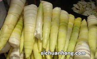 新鲜竹笋能放多久