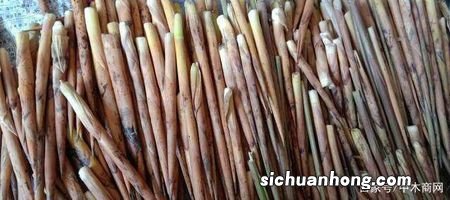 新鲜竹笋能放多久