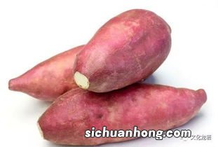 红薯的果实长什么样子