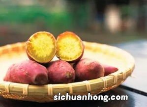 红薯的果实长什么样子