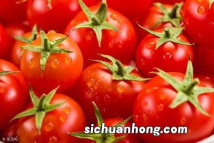红色的西红柿像什么