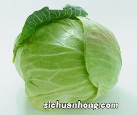 泡的包菜多久能吃