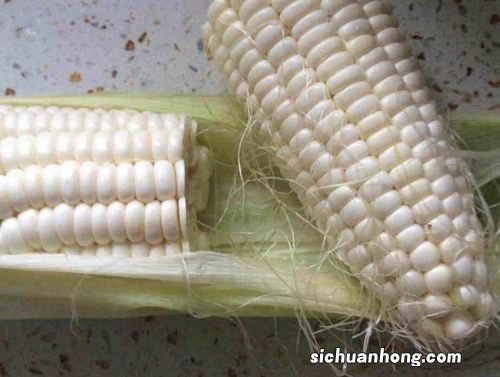 排骨电饭锅煮多久能熟