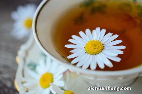 秋天嗓子干疼喝什么茶