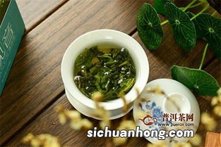 喝铁观音什么茶具好