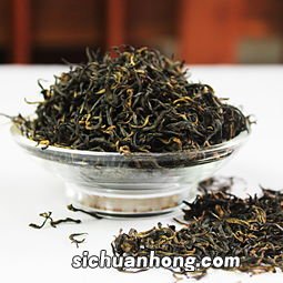 金骏眉什么时间有