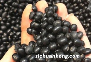 黑豆和梨吃的什么作用与功效与作用