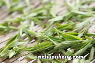 白茶什么样的比较好