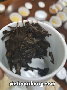 八月份买什么茶