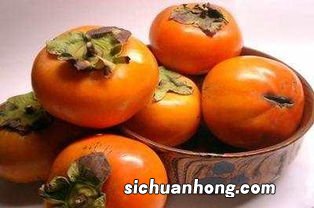 喝过柿子不能吃什么东西