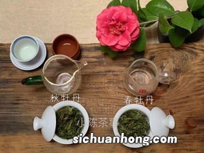 紫红色汤色什么茶