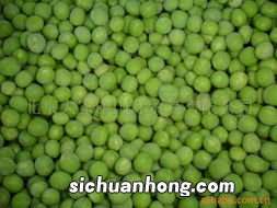 冻青豆怎么样变软