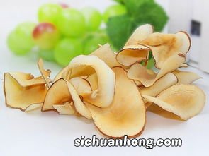 海底椰什么人不能食用