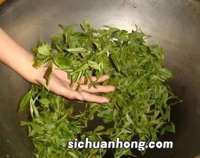 手工炒的茶是什么样的