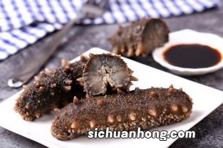 海参什么人不可以吃