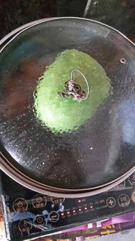 冬瓜炒饭怎么做好吃吗