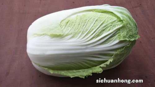 冬瓜白菜怎么做好吃又简单