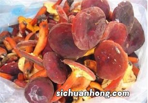 干奶浆菌泡多久能好