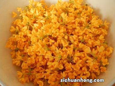 桂花泡酒治什么