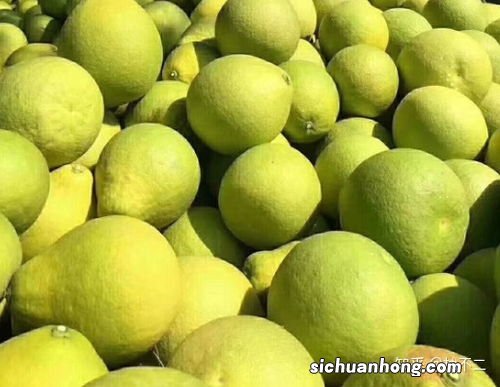 蜜柚可以放多久