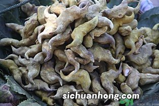 菱角要煮多久才熟