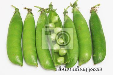 豌豆可以放多久