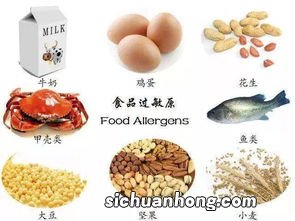 过敏后不能吃什么食物有哪些