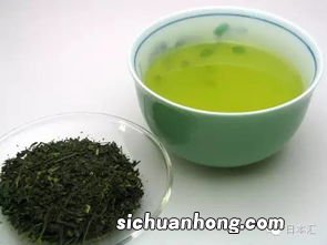 煎茶用的什么茶